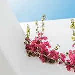 Hotel Bohemian Luxury Boutique Hotel, Adults Only