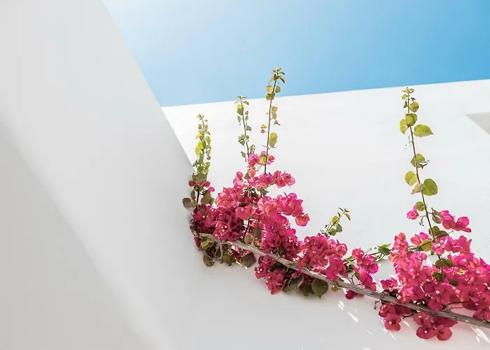 Szálloda Bohemian Luxury Boutique Hotel, Adults Only