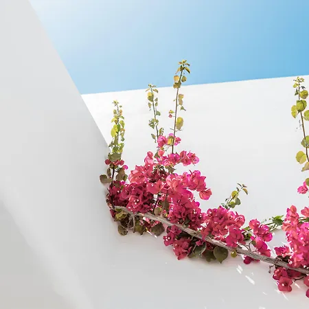 Bohemian Luxury Boutique Hotel, Adults Only 4* Naoussa