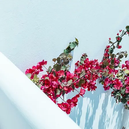 Bohemian Luxury Boutique Hotel, Adults Only Hotel Naousa (Paros)